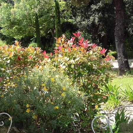 La Louvetiere Hotel Roquefort Les Pins Bagian luar foto